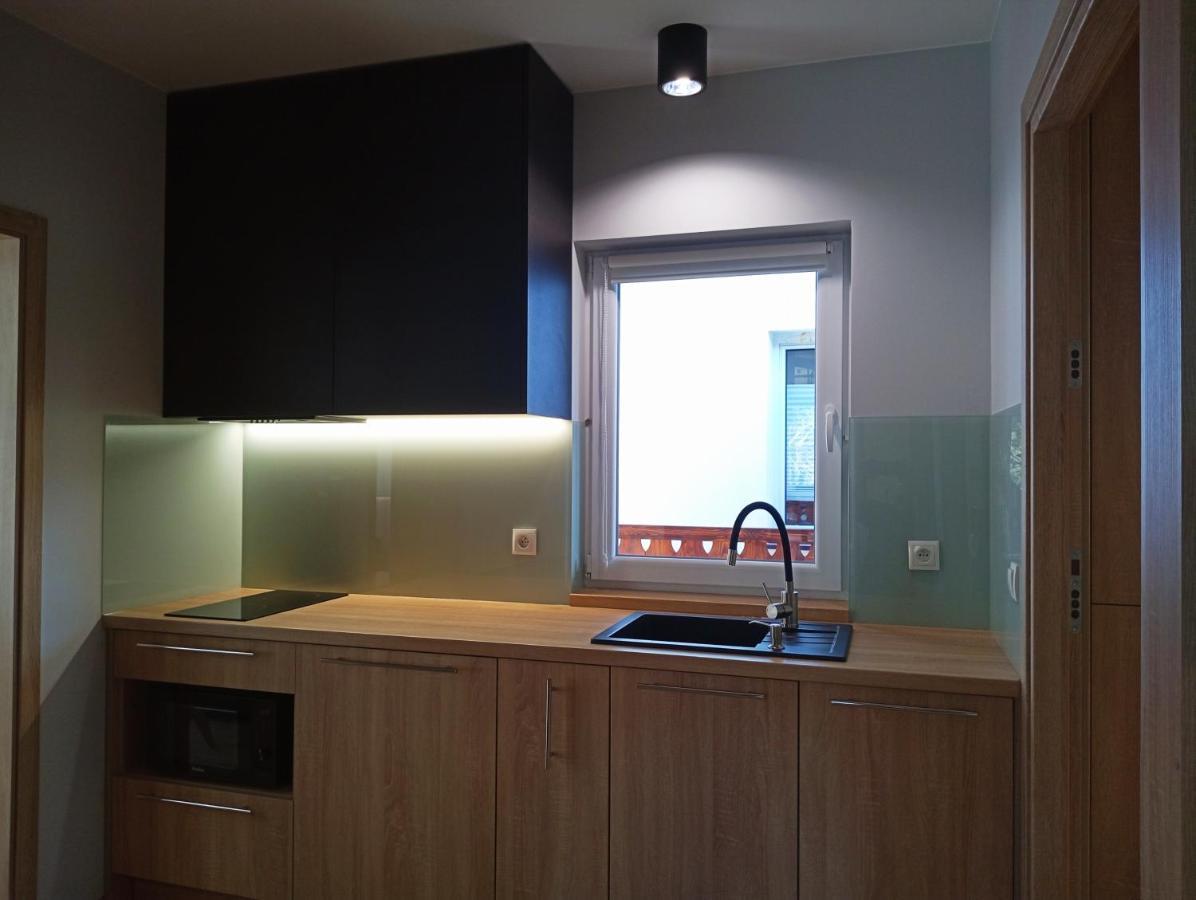 4 Sowy Apartment Szczawnica